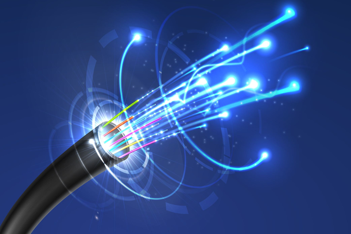 Fiber Optic Networks