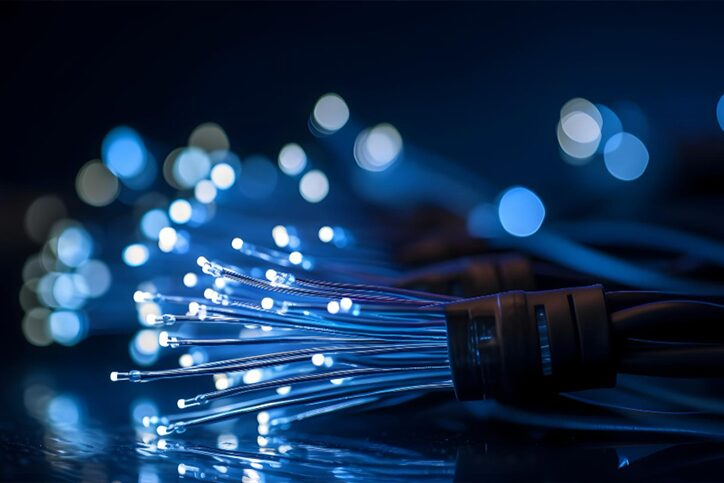 Fiber-Optic Networks